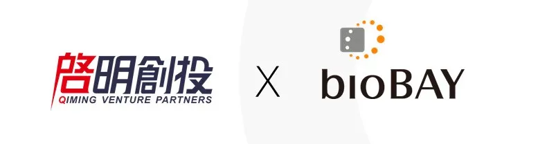 日韩欧美一区二区三区免费观看