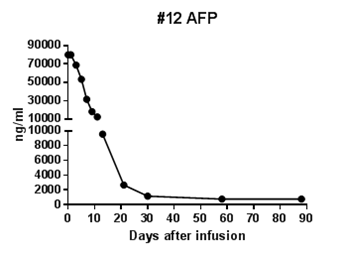 日韩欧美一区二区三区免费观看