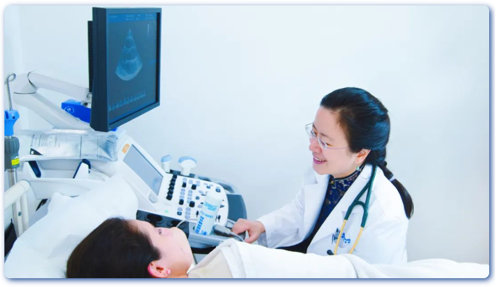 日韩欧美一区二区三区免费观看