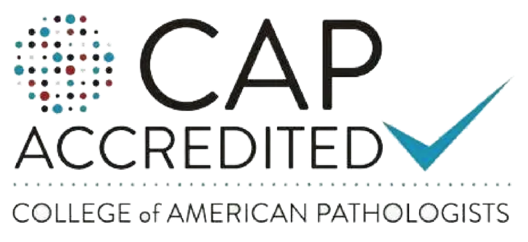 日韩欧美一区二区三区免费观看