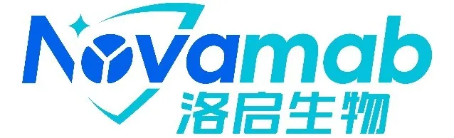 日韩欧美一区二区三区免费观看