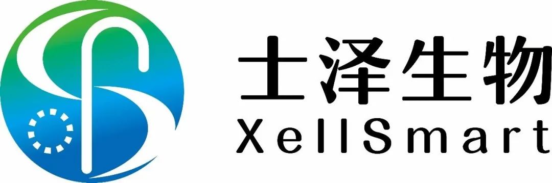 日韩欧美一区二区三区免费观看