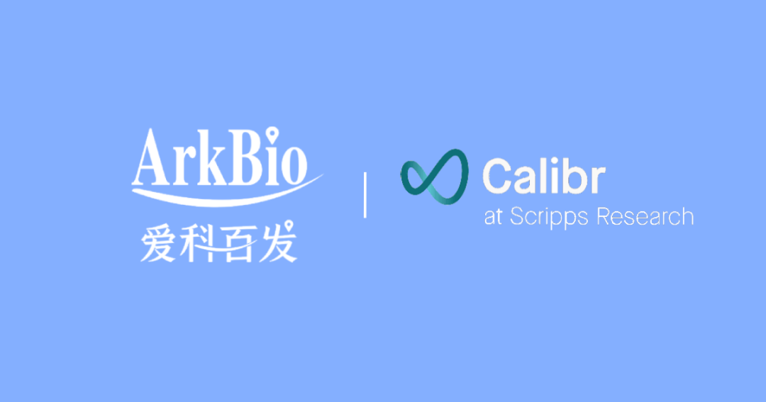 日韩欧美一区二区三区免费观看