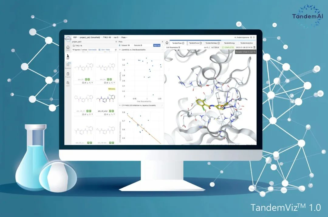 日韩欧美一区二区三区免费观看