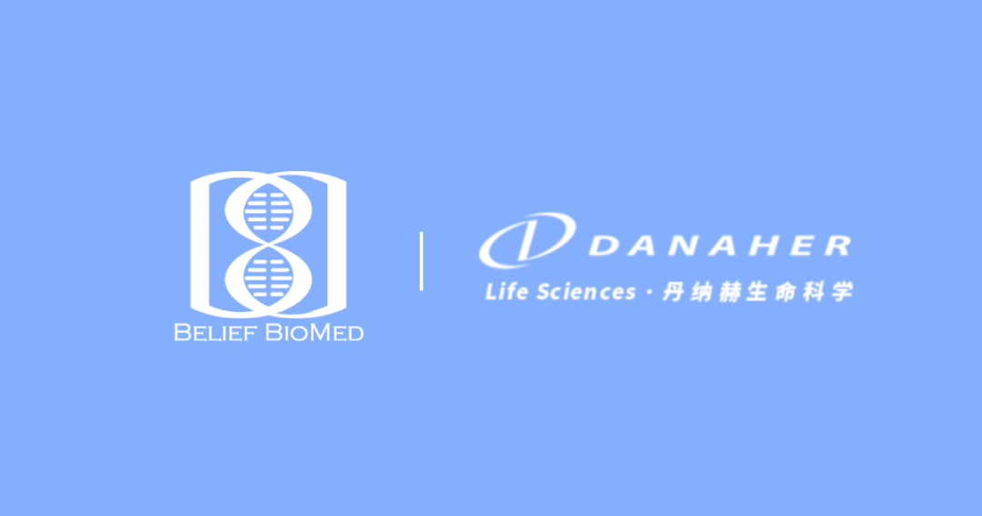 日韩欧美一区二区三区免费观看