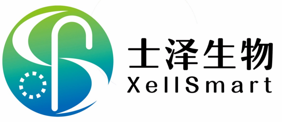 日韩欧美一区二区三区免费观看