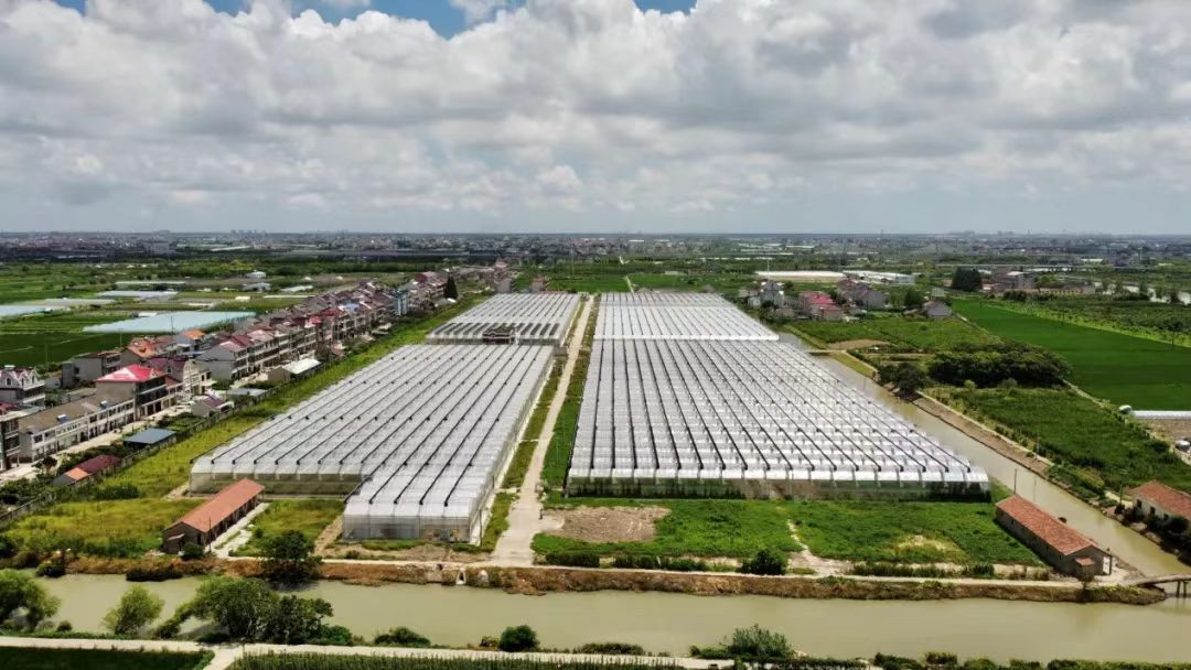 日韩欧美一区二区三区免费观看