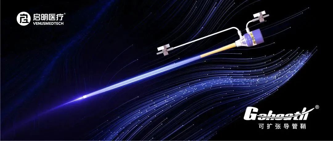 日韩欧美一区二区三区免费观看