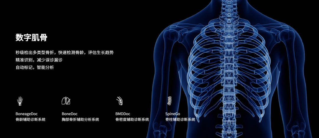 日韩欧美一区二区三区免费观看
