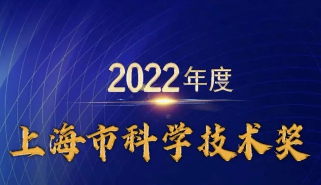 日韩欧美一区二区三区免费观看