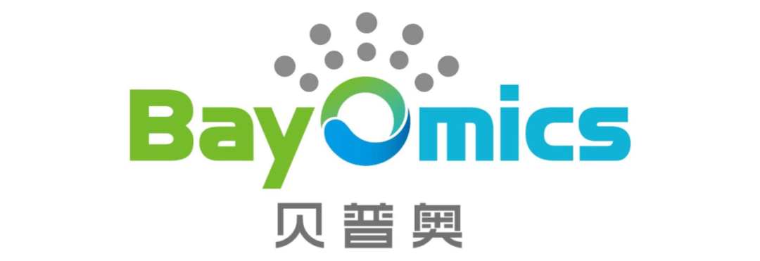 日韩欧美一区二区三区免费观看