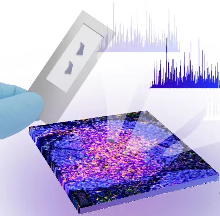 日韩欧美一区二区三区免费观看