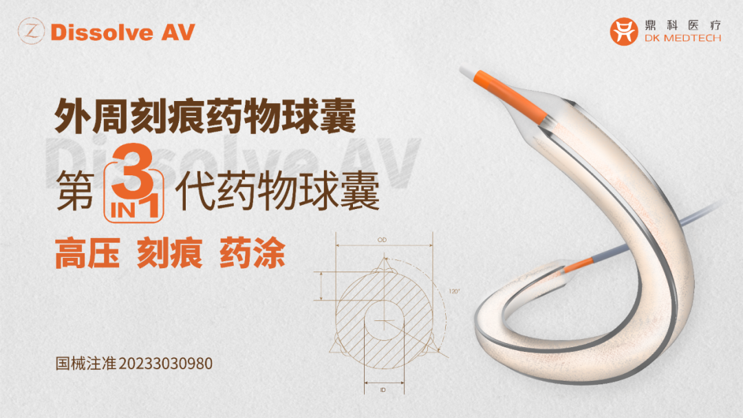 日韩欧美一区二区三区免费观看