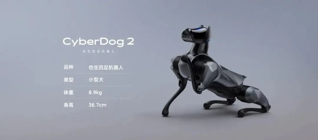 日韩欧美一区二区三区免费观看