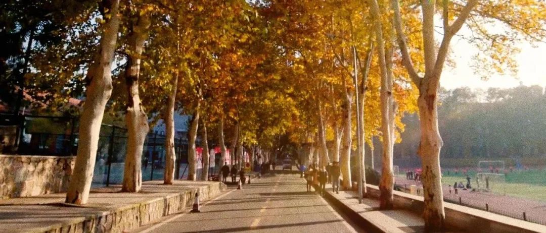 日韩欧美一区二区三区免费观看