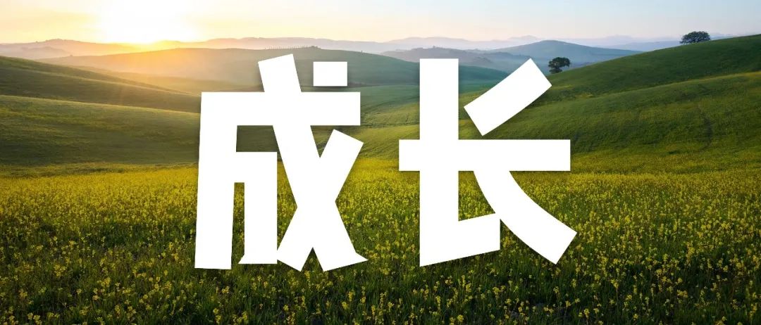 日韩欧美一区二区三区免费观看