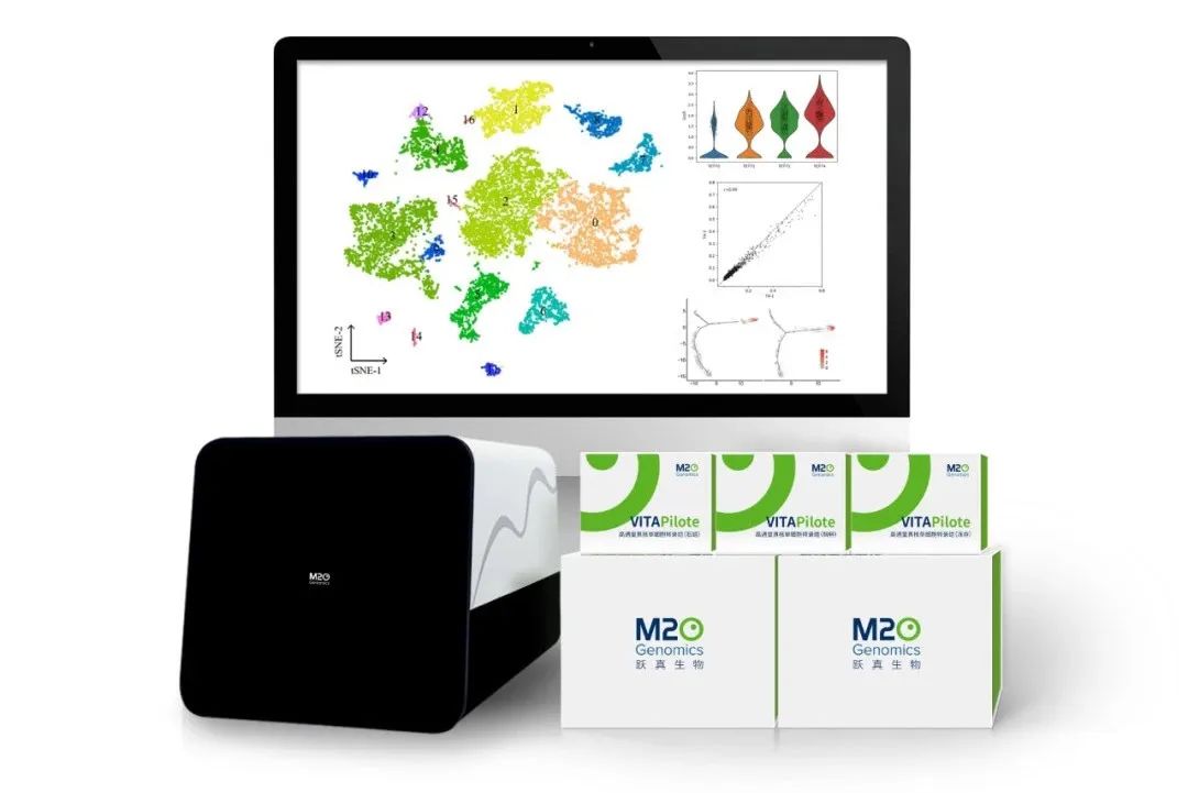 日韩欧美一区二区三区免费观看