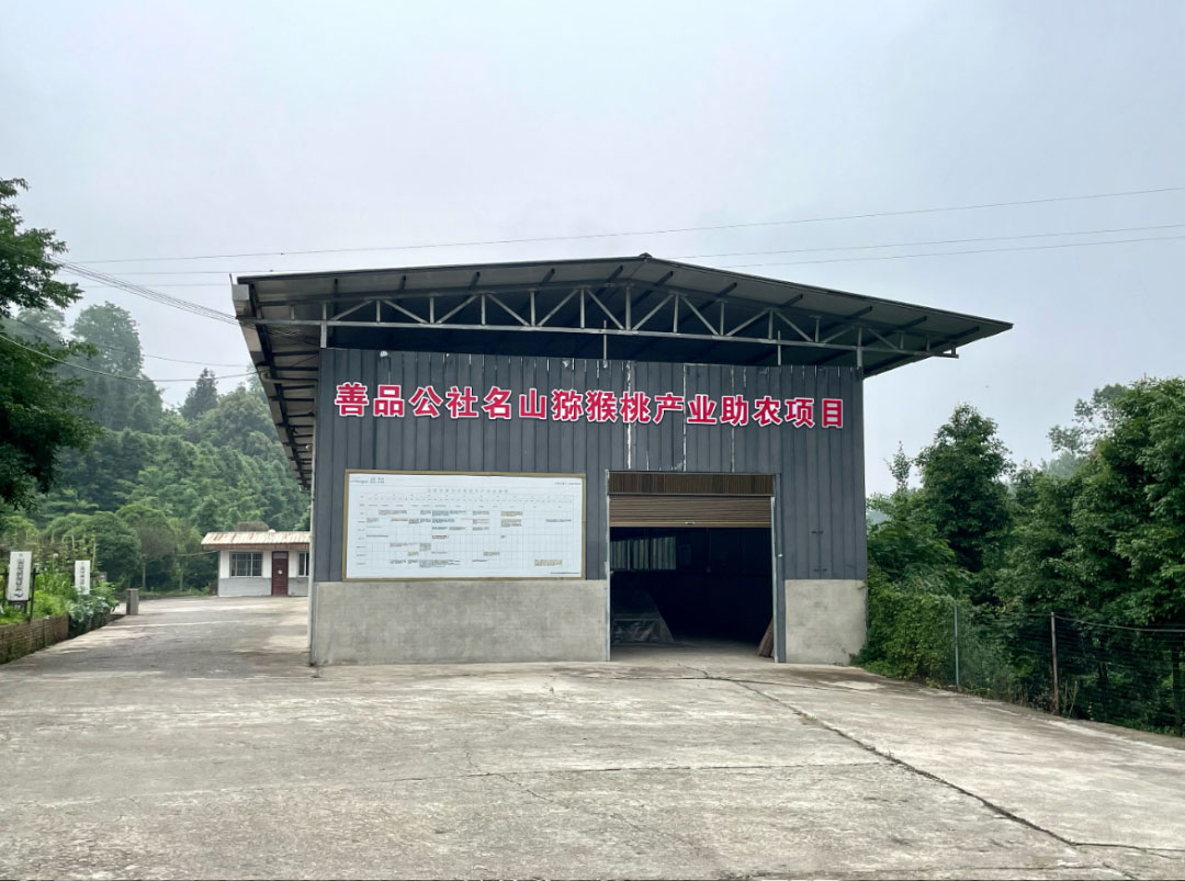 日韩欧美一区二区三区免费观看