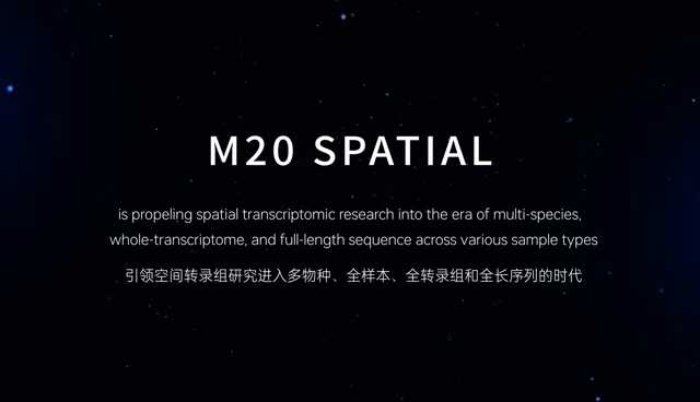 日韩欧美一区二区三区免费观看