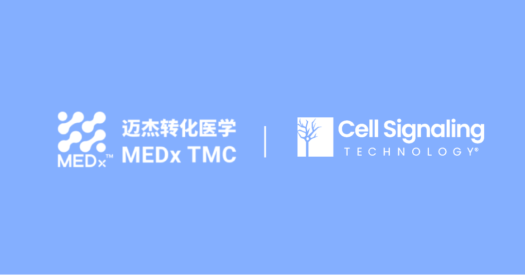 日韩欧美一区二区三区免费观看