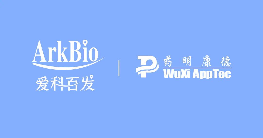日韩欧美一区二区三区免费观看