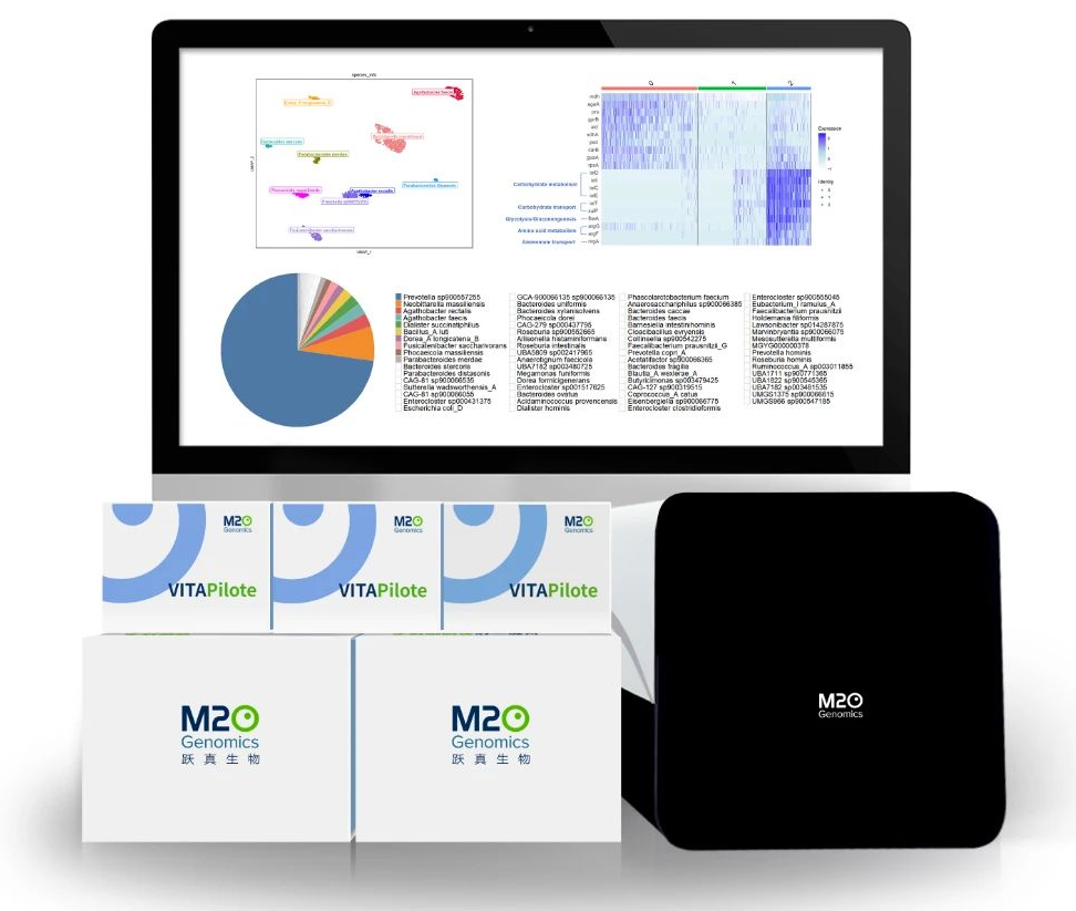 日韩欧美一区二区三区免费观看