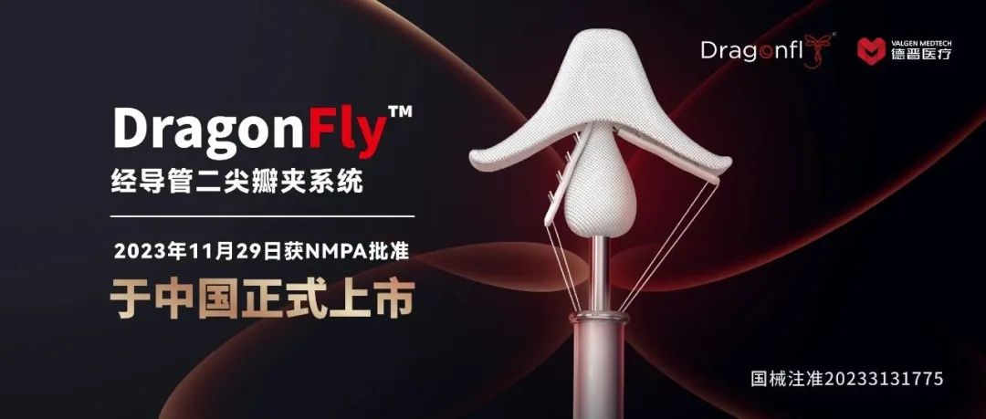 日韩欧美一区二区三区免费观看