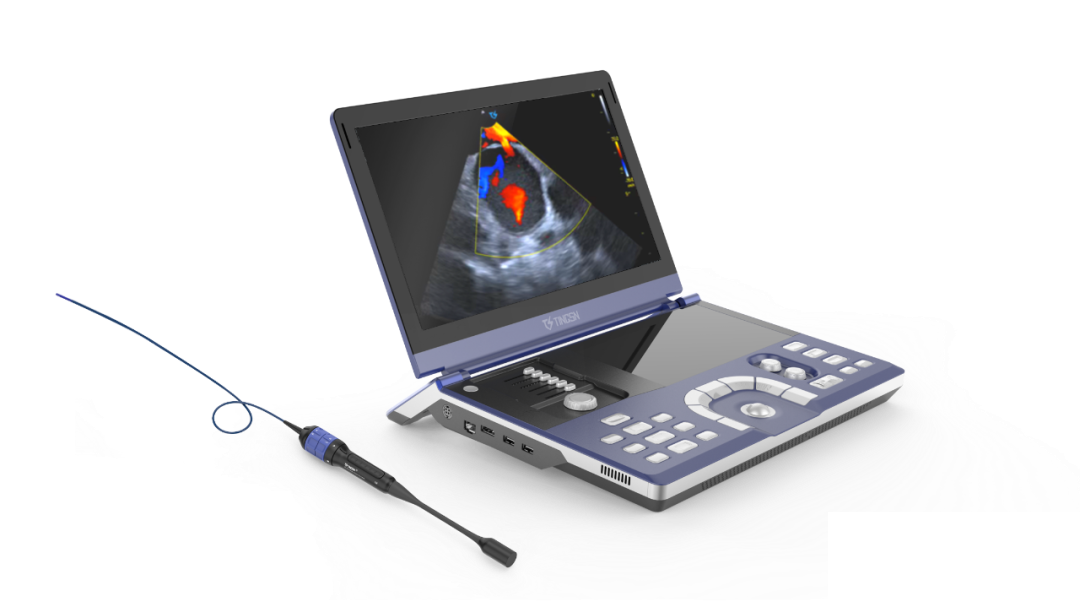 日韩欧美一区二区三区免费观看