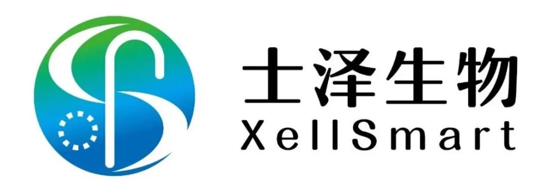 日韩欧美一区二区三区免费观看