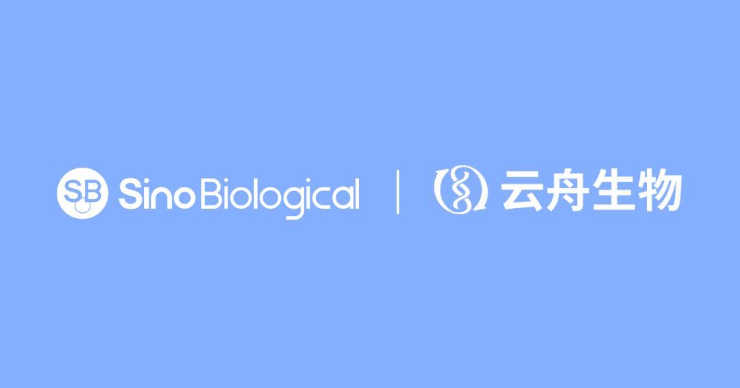 日韩欧美一区二区三区免费观看