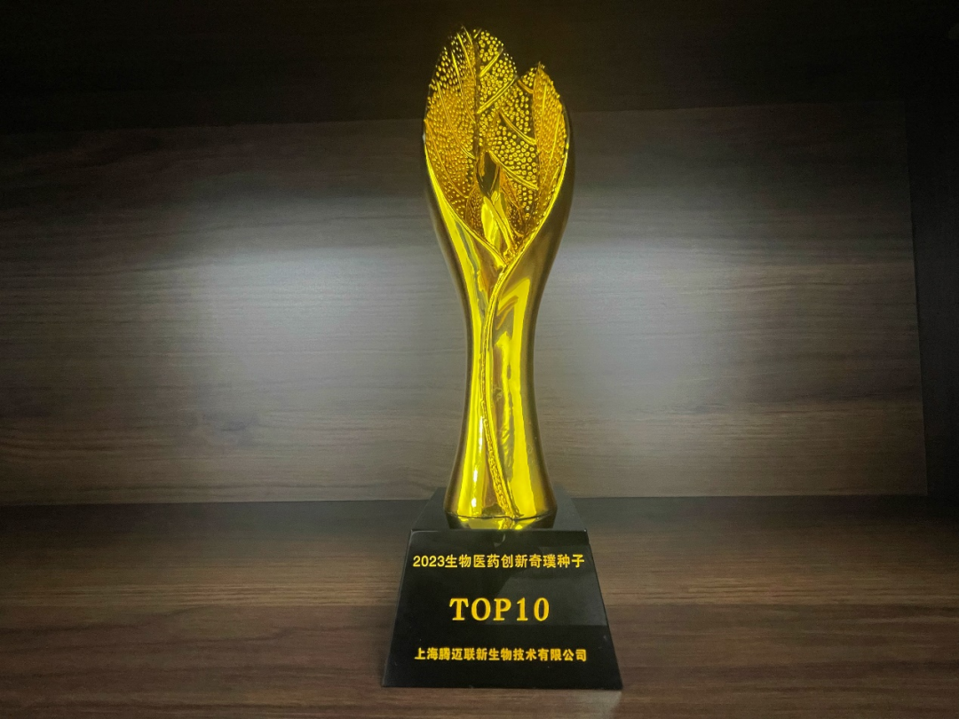 日韩欧美一区二区三区免费观看