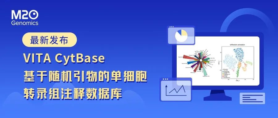 日韩欧美一区二区三区免费观看