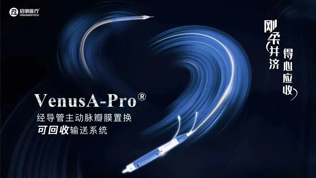 日韩欧美一区二区三区免费观看