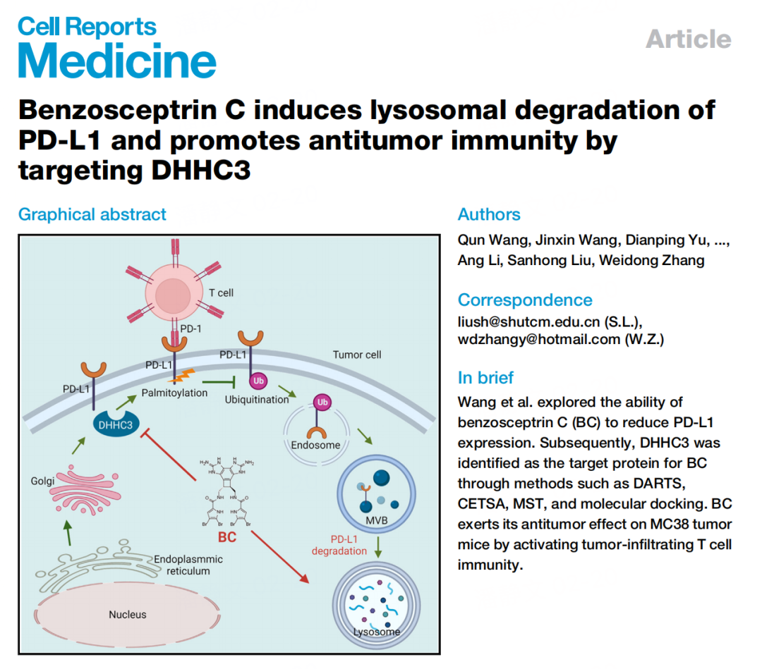 日韩欧美一区二区三区免费观看