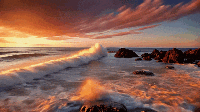 日韩欧美一区二区三区免费观看