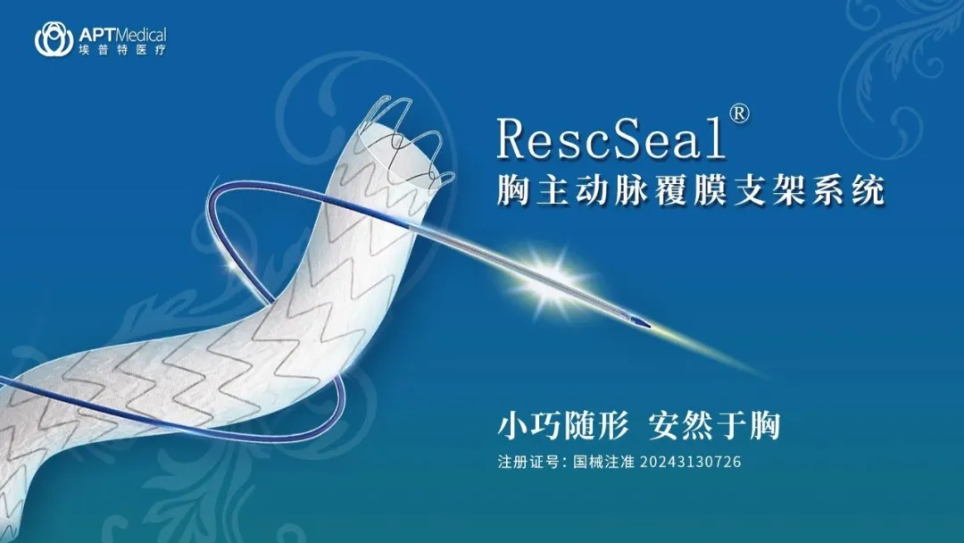 日韩欧美一区二区三区免费观看