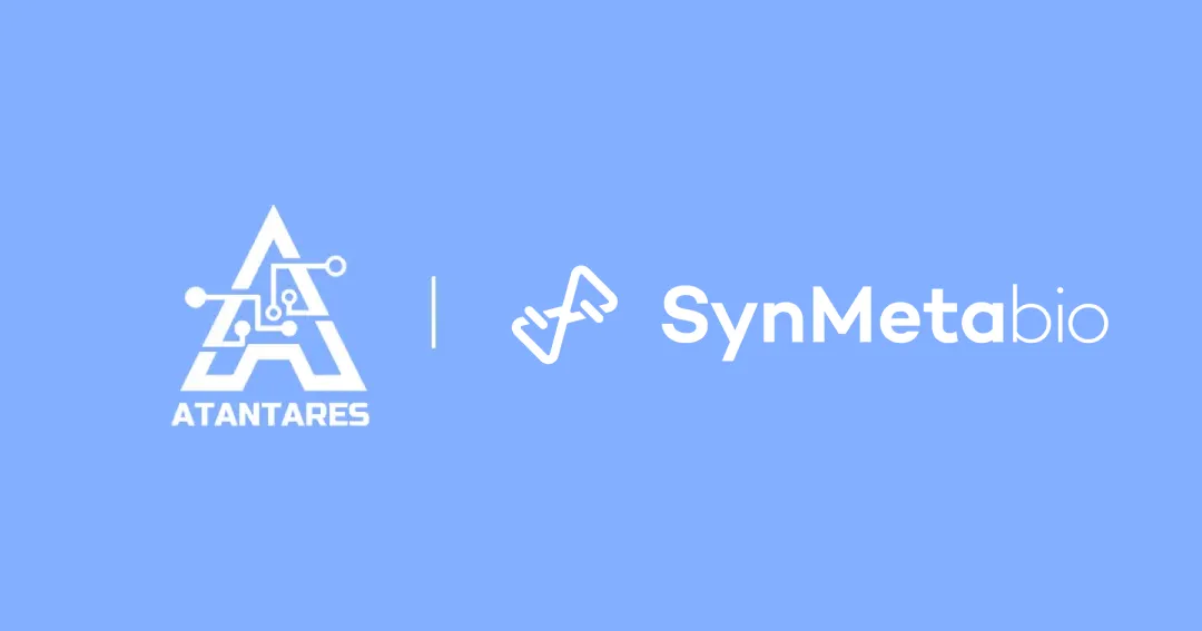 日韩欧美一区二区三区免费观看