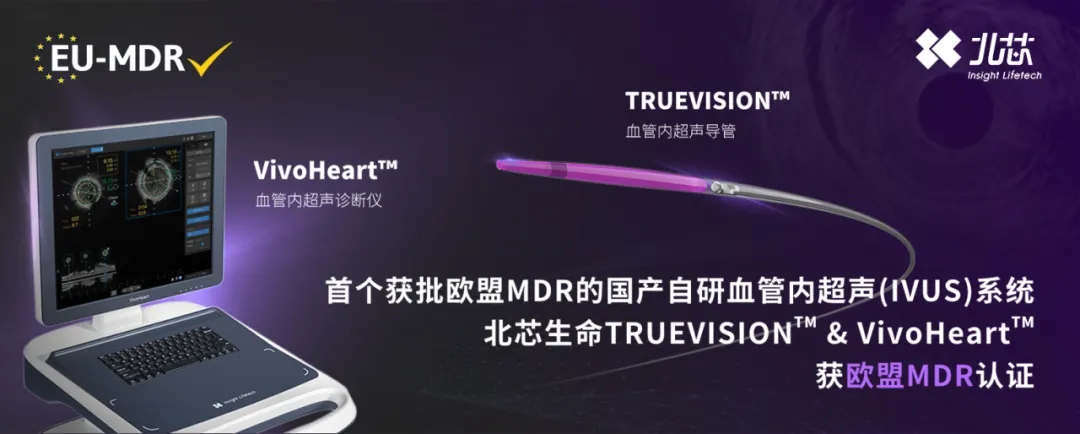 日韩欧美一区二区三区免费观看