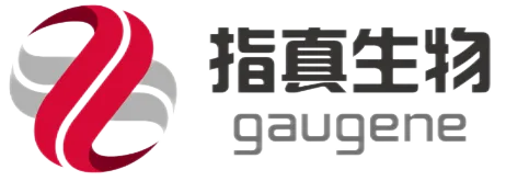 日韩欧美一区二区三区免费观看