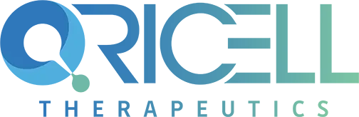 日韩欧美一区二区三区免费观看