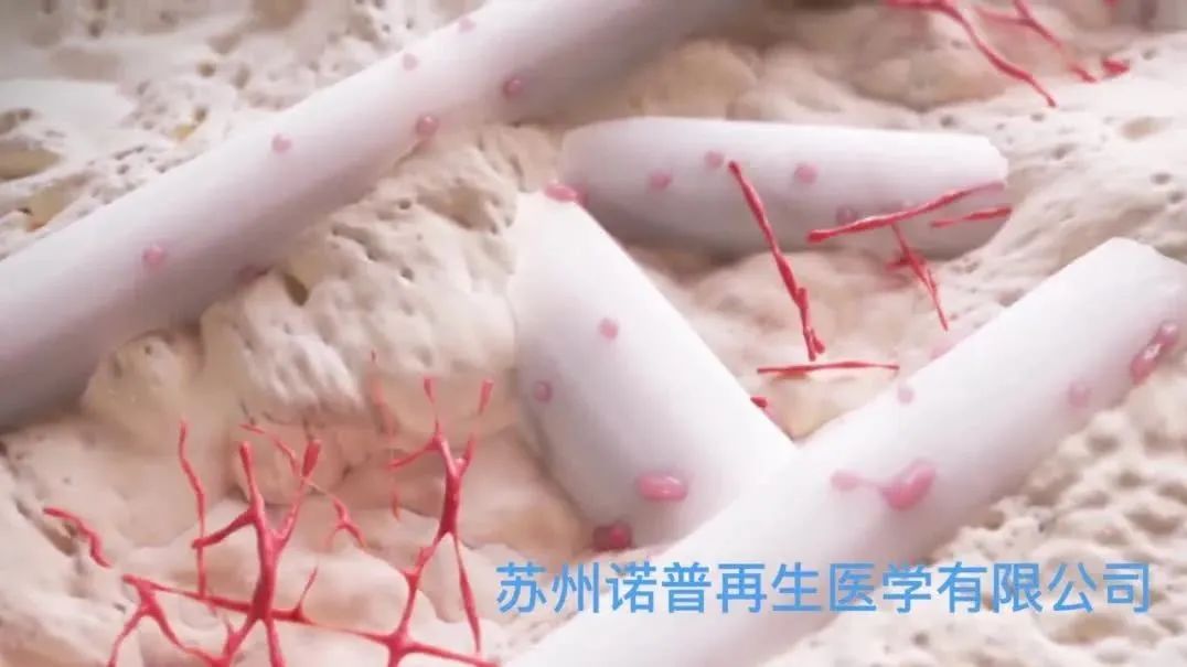 日韩欧美一区二区三区免费观看