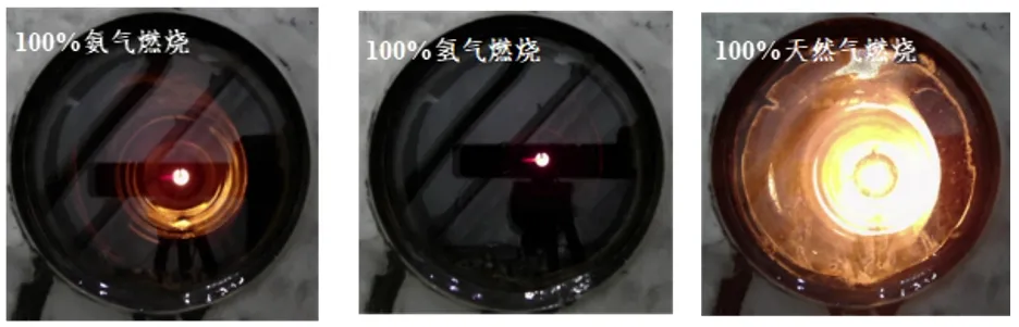 日韩欧美一区二区三区免费观看