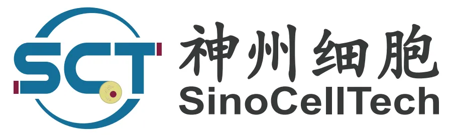 日韩欧美一区二区三区免费观看