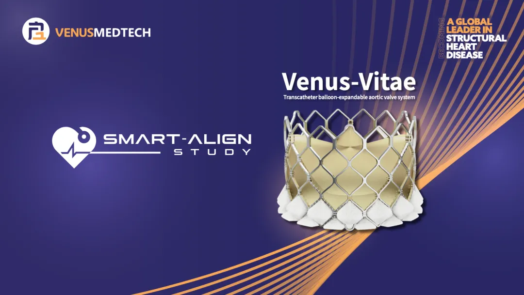 日韩欧美一区二区三区免费观看