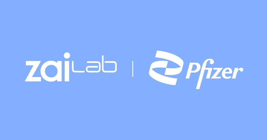 日韩欧美一区二区三区免费观看