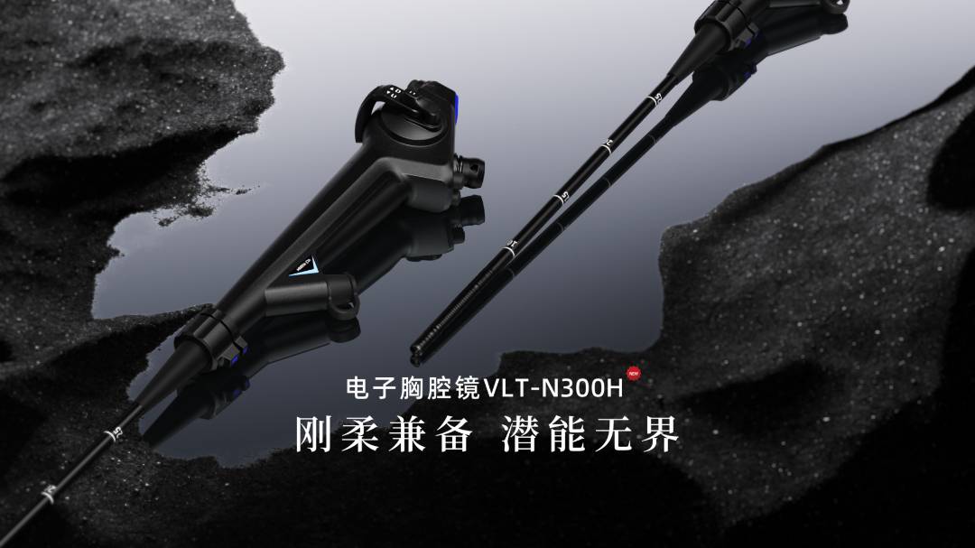 日韩欧美一区二区三区免费观看