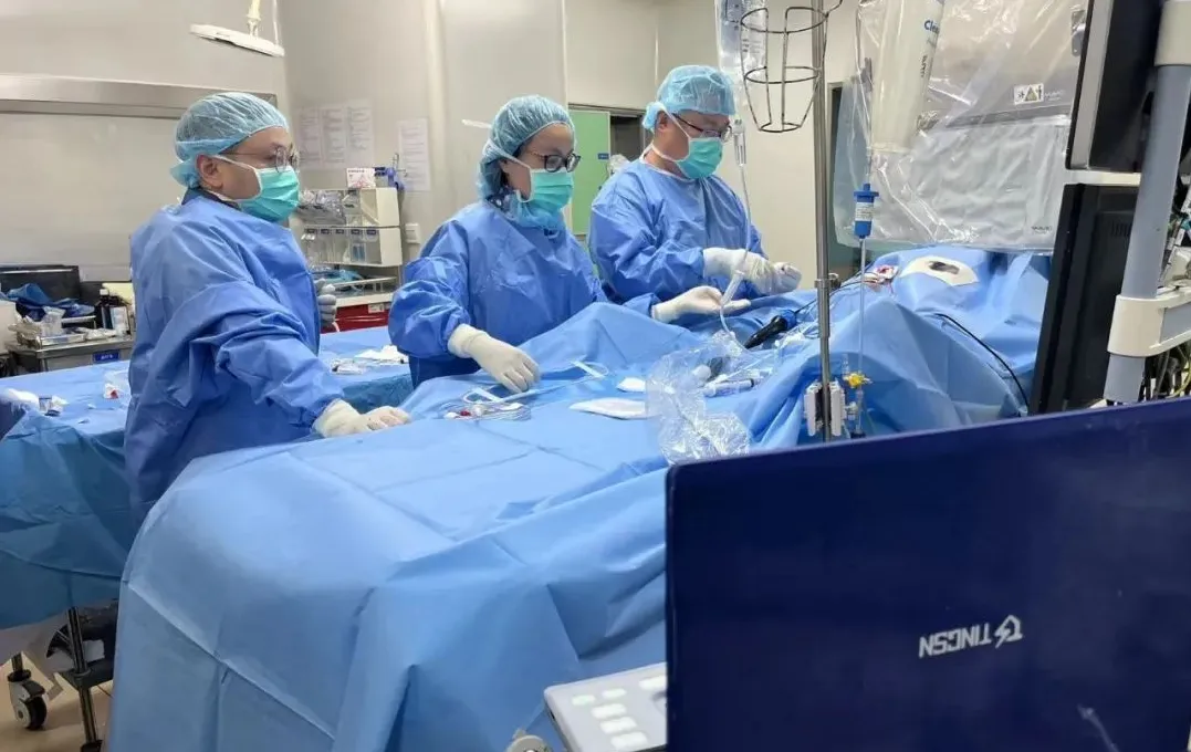 日韩欧美一区二区三区免费观看