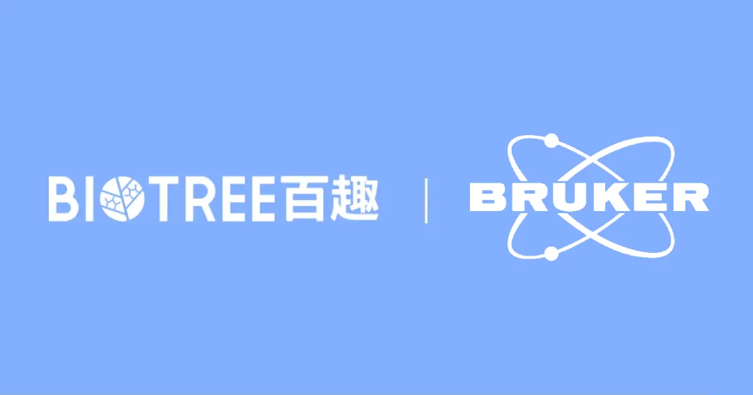 日韩欧美一区二区三区免费观看