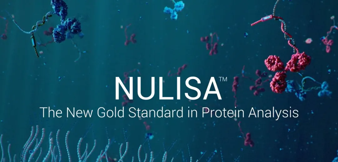 日韩欧美一区二区三区免费观看