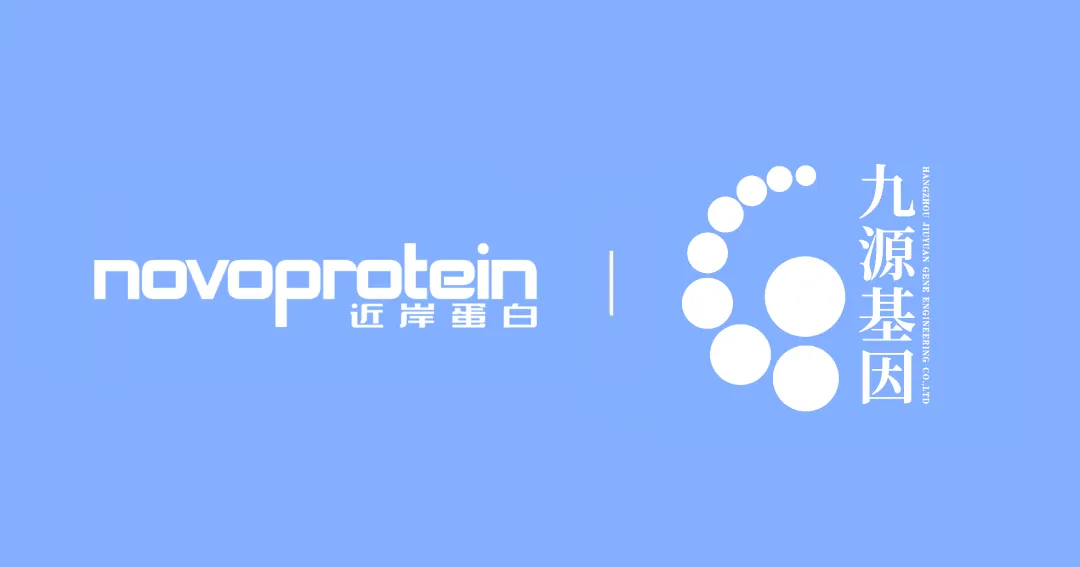 日韩欧美一区二区三区免费观看